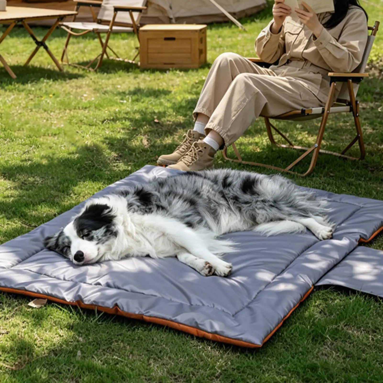 Faltbare Hundematte für unterwegs – wasserdicht und waschbar – Ansicht 5 Faltbare Hundematte für unterwegs – wasserdicht und waschbar – Ansicht 5